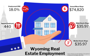 Graphic of Wyoming Real Estate Employment, showing statistics on employment rate, agents employed, and wages in a city buildings background.